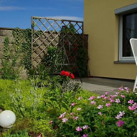 Ferienwohnung Lindenheim Mit Terrasse Und Garten * 德累斯顿